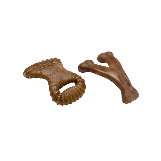 Dental Chew / Wishbone - Комплект от 2 броя